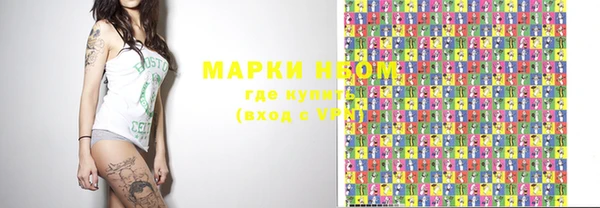 шишки Беломорск