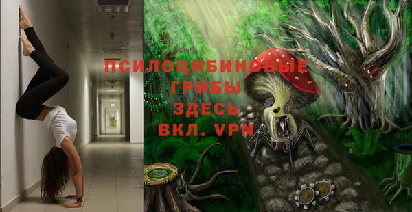 a pvp Белокуриха